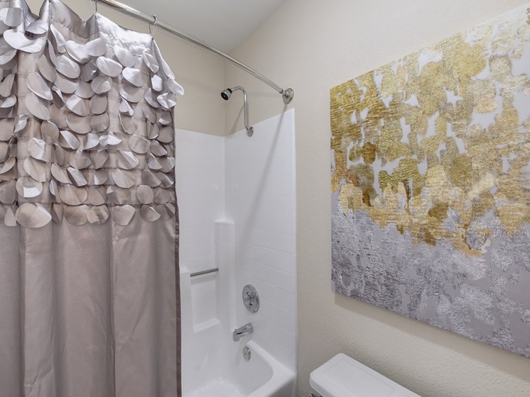 Bathroom with Shower with Silver Curtains, Bathtub and Gray/Gold Painting